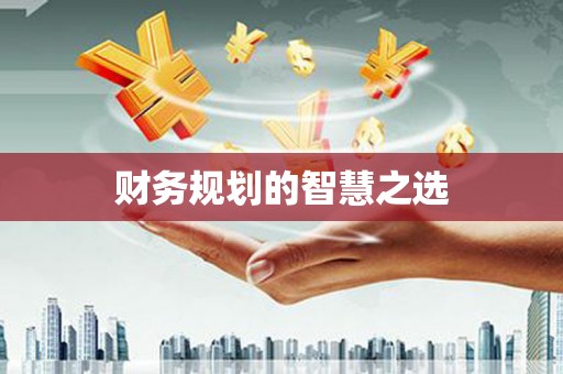任县财务规划的智慧之选