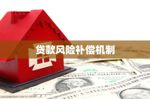 任县贷款风险补偿机制