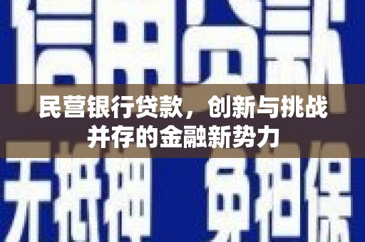 任县民营银行贷款，创新与挑战并存的金融新势力
