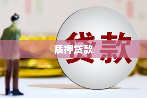 任县质押贷款