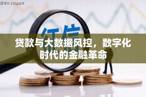 任县贷款与大数据风控，数字化时代的金融革命