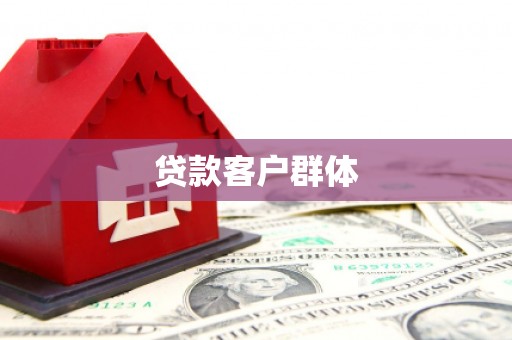 任县贷款客户群体