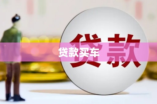 任县贷款买车