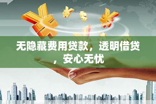 任县无隐藏费用贷款，透明借贷，安心无忧