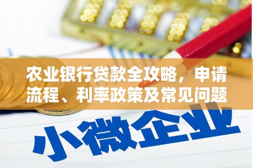 任县农业银行贷款全攻略，申请流程、利率政策及常见问题解析