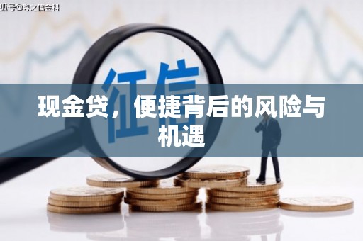 任县现金贷，便捷背后的风险与机遇