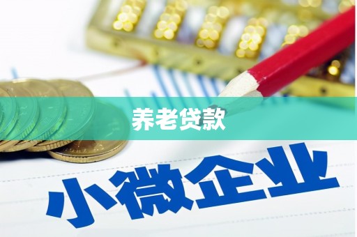 任县养老贷款