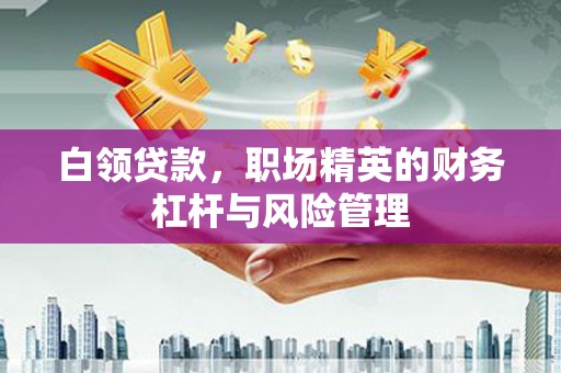 任县白领贷款，职场精英的财务杠杆与风险管理