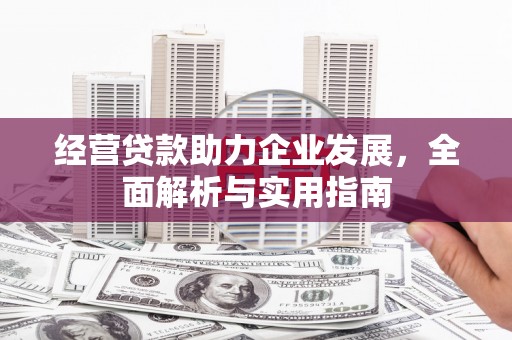 任县经营贷款助力企业发展，全面解析与实用指南