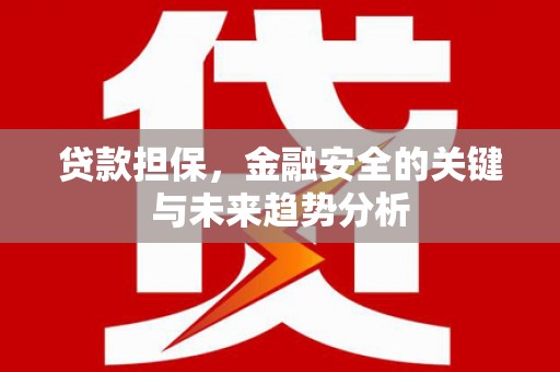 任县贷款担保，金融安全的关键与未来趋势分析
