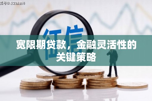 任县宽限期贷款，金融灵活性的关键策略