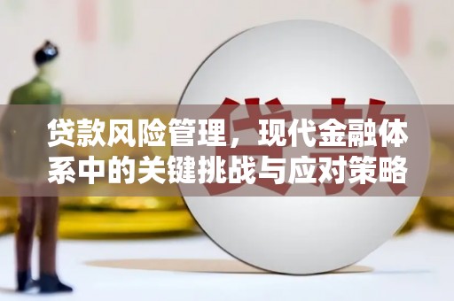 任县贷款风险管理，现代金融体系中的关键挑战与应对策略