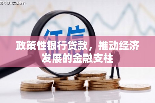 任县政策性银行贷款，推动经济发展的金融支柱