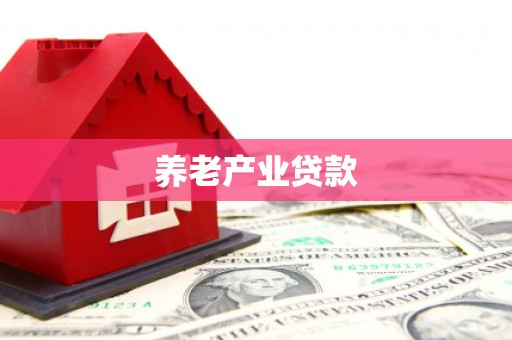 任县养老产业贷款
