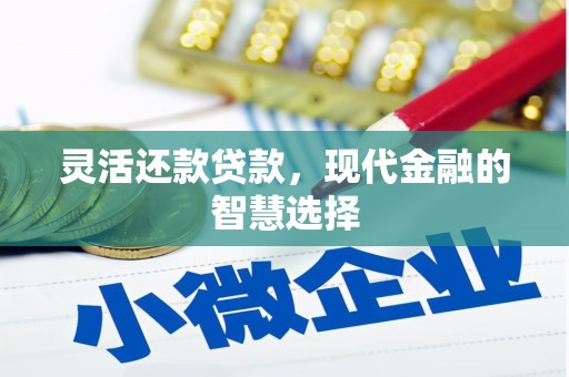 任县灵活还款贷款，现代金融的智慧选择