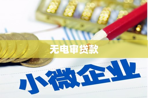 任县无电审贷款