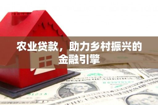 任县农业贷款，助力乡村振兴的金融引擎