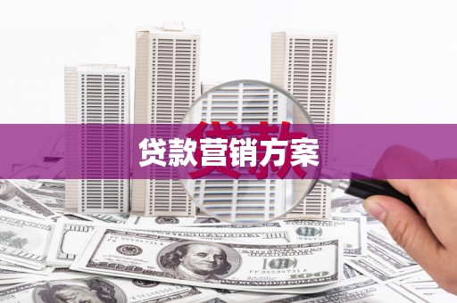 任县贷款营销方案