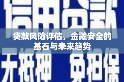 任县贷款风险评估，金融安全的基石与未来趋势