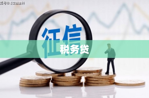 任县税务贷