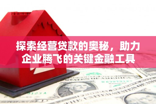 任县探索经营贷款的奥秘，助力企业腾飞的关键金融工具
