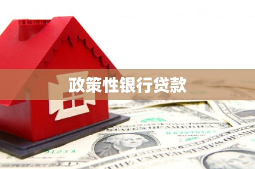 任县政策性银行贷款