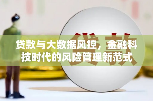 任县贷款与大数据风控，金融科技时代的风险管理新范式