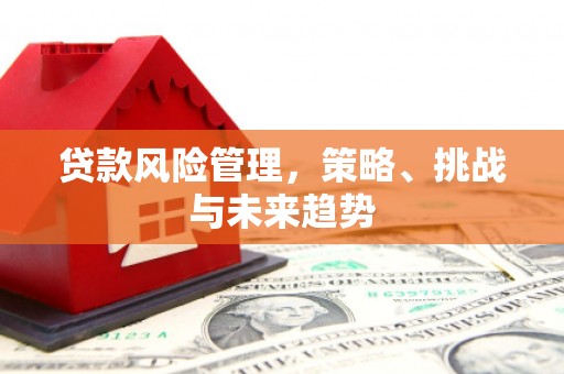 任县贷款风险管理，策略、挑战与未来趋势