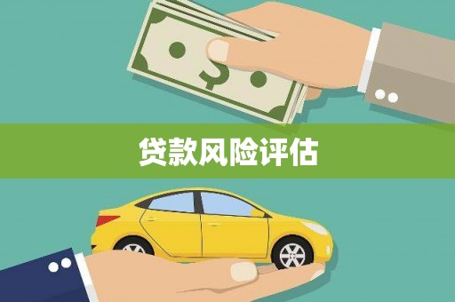 任县贷款风险评估