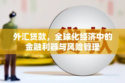 任县外汇贷款，全球化经济中的金融利器与风险管理