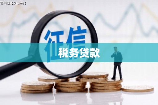 任县税务贷款