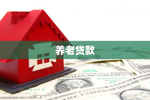 任县养老贷款