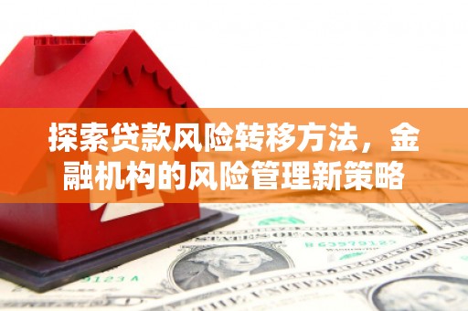 任县探索贷款风险转移方法，金融机构的风险管理新策略