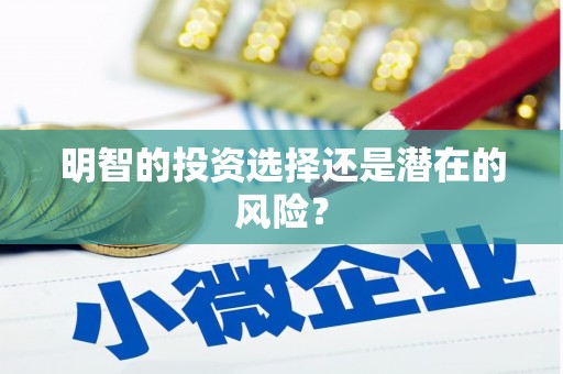 任县明智的投资选择还是潜在的风险？