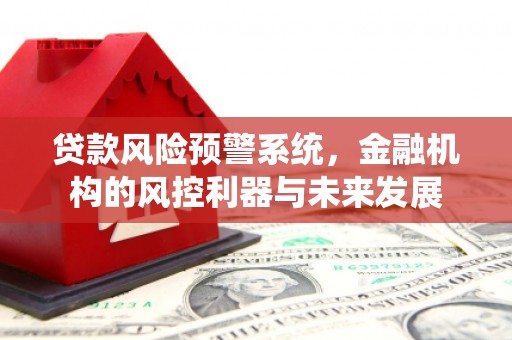 任县贷款风险预警系统，金融机构的风控利器与未来发展