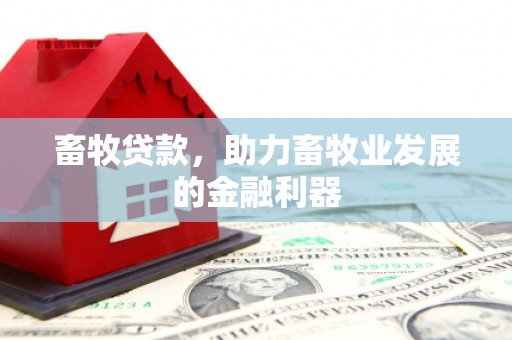 任县畜牧贷款，助力畜牧业发展的金融利器