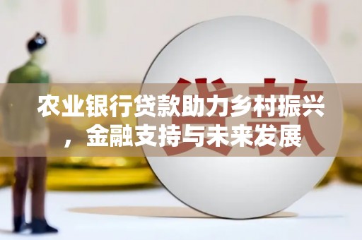 任县农业银行贷款助力乡村振兴，金融支持与未来发展