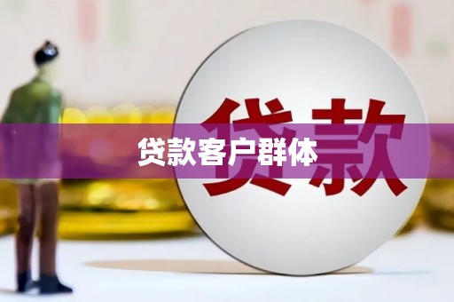 任县贷款客户群体