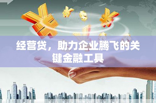 任县经营贷，助力企业腾飞的关键金融工具
