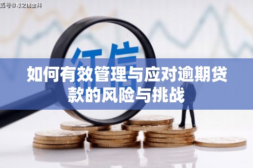 任县如何有效管理与应对逾期贷款的风险与挑战