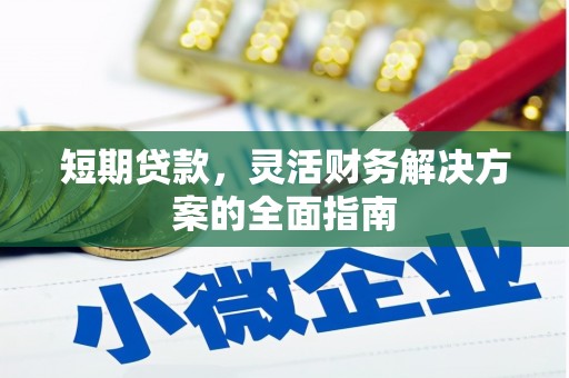 任县短期贷款，灵活财务解决方案的全面指南