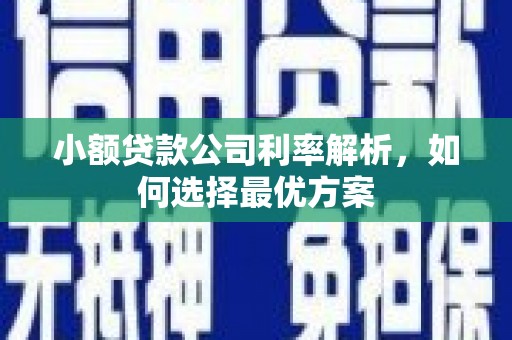任县小额贷款公司利率解析，如何选择最优方案