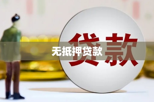 任县无抵押贷款
