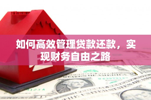 任县如何高效管理贷款还款，实现财务自由之路