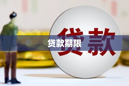 任县贷款期限