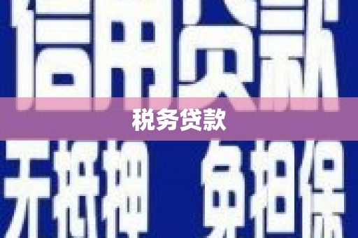 任县税务贷款