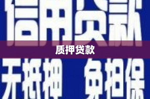 任县质押贷款