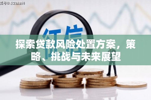 任县探索贷款风险处置方案，策略、挑战与未来展望