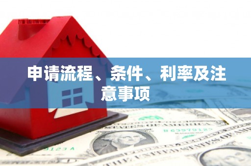 任县申请流程、条件、利率及注意事项