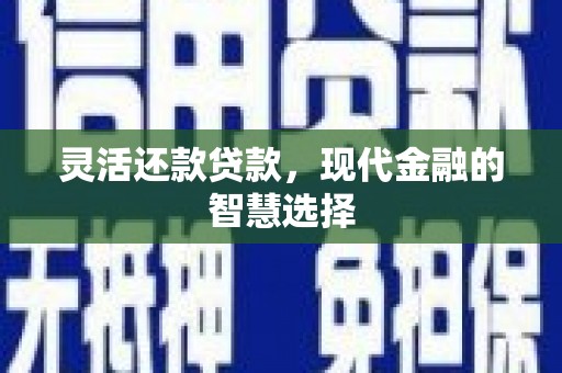 任县灵活还款贷款，现代金融的智慧选择